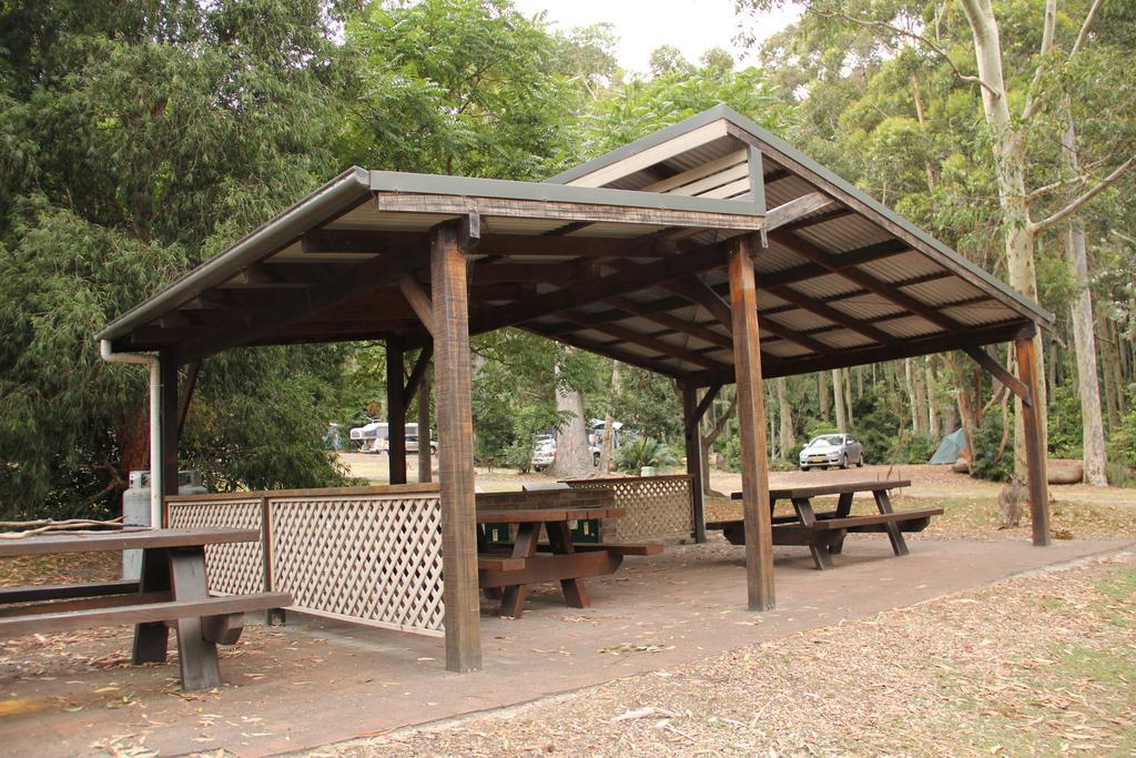 迪珀特海滩山林小屋 Durras 外观 照片