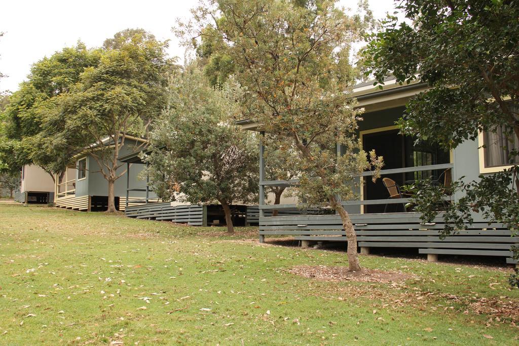 迪珀特海滩山林小屋 Durras 外观 照片