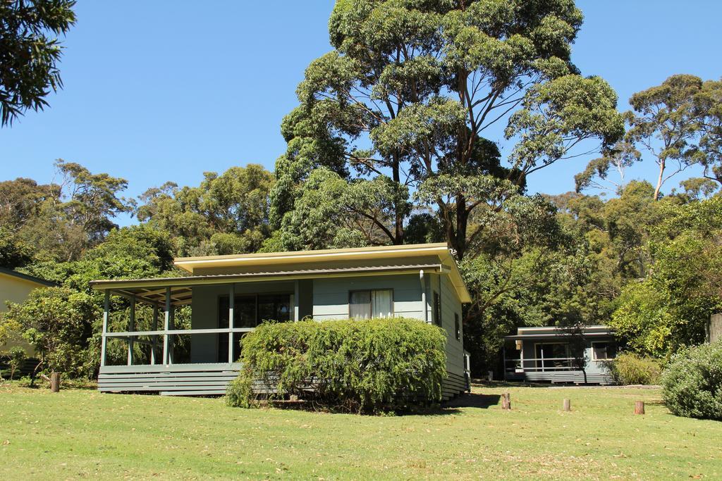 迪珀特海滩山林小屋 Durras 外观 照片