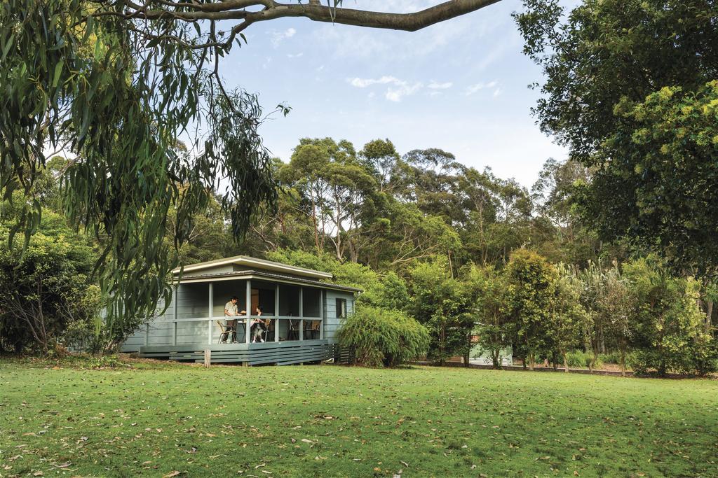 迪珀特海滩山林小屋 Durras 外观 照片